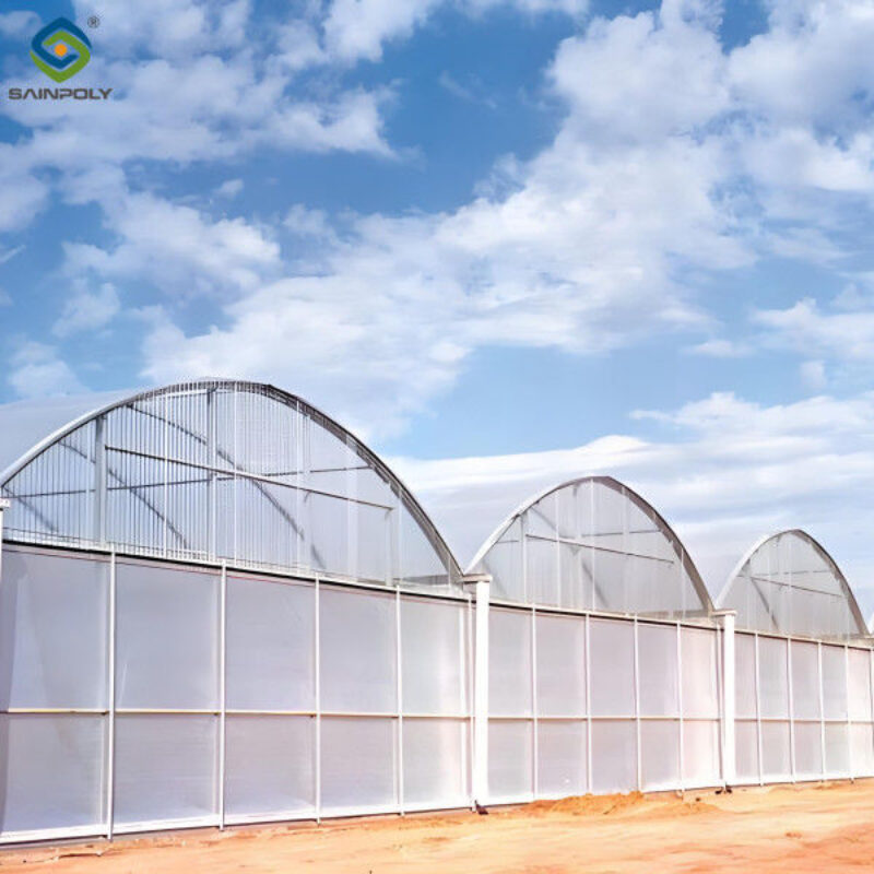 30m/50m/60m Length Galvanized Steel Greenhouse Multi Span Greenhouse