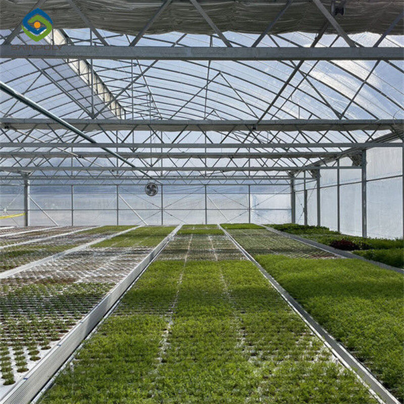 30m/50m/60m Length Galvanized Steel Greenhouse Multi Span Greenhouse