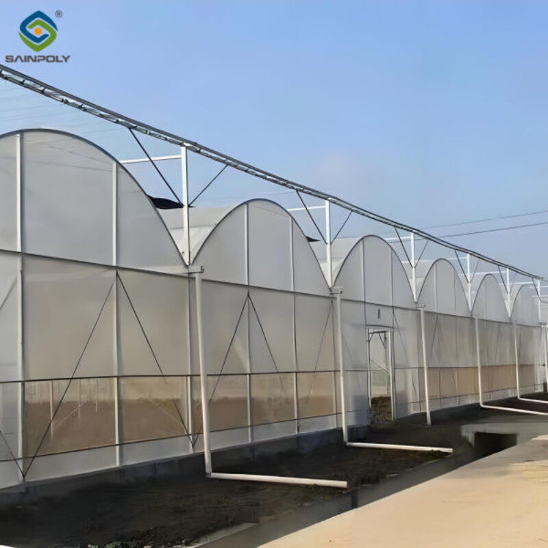30m/50m/60m Length Multi Span Greenhouse Vegetable Plant Plastic Film Greenhouse