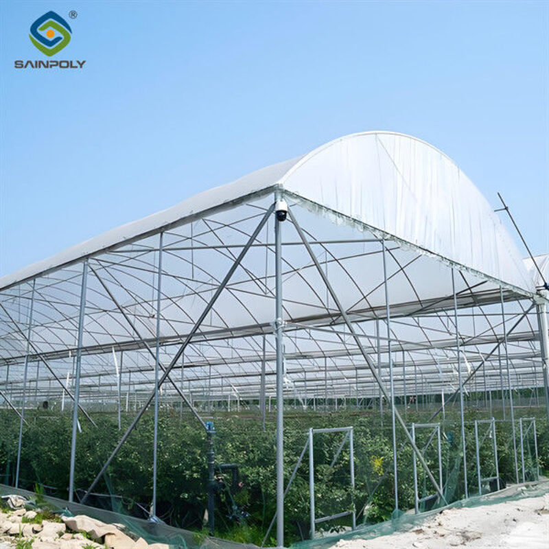 4 Seasons Agricutural Type Blueberry Greenhouse For Planting Single Layer