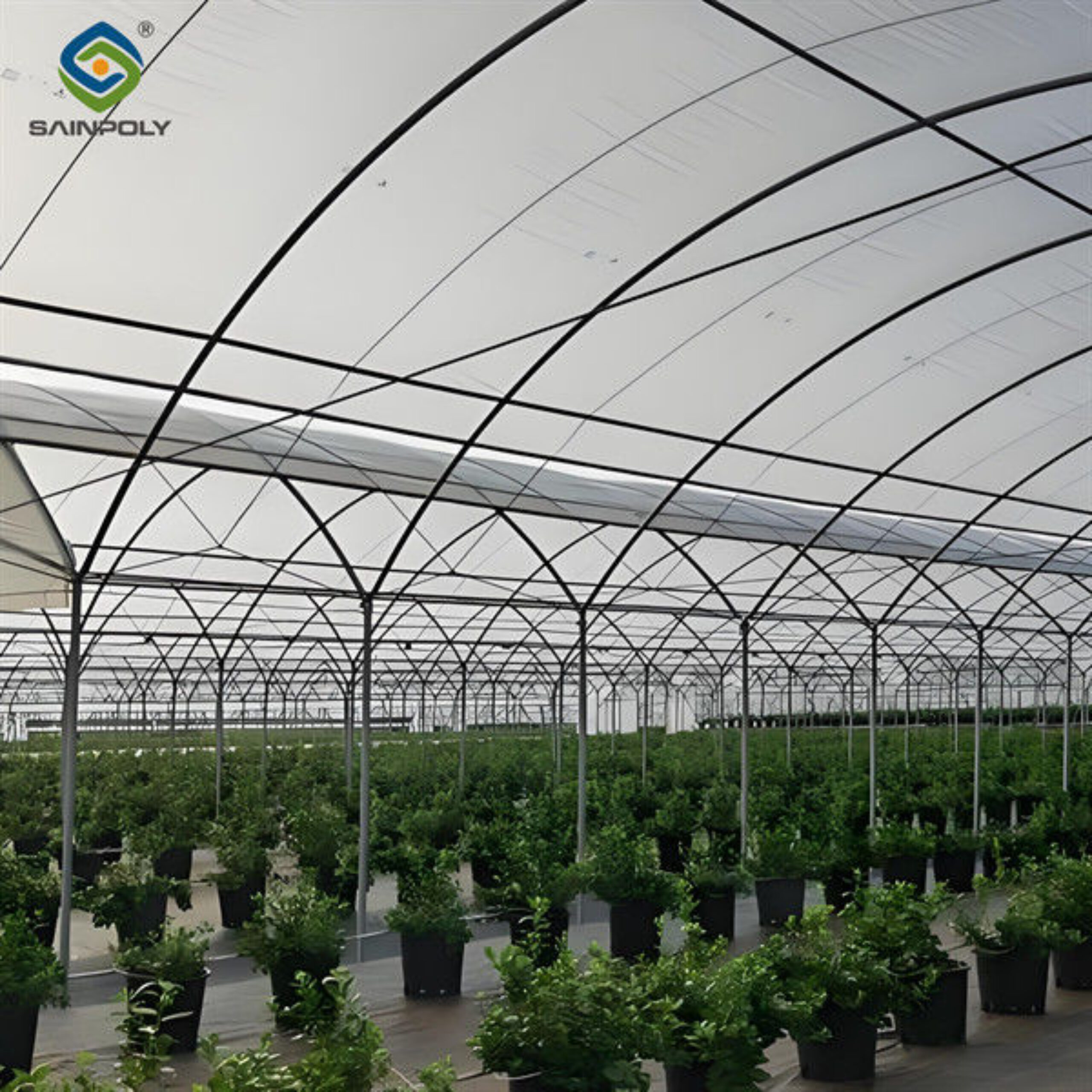 4 Seasons Agricutural Type Blueberry Greenhouse For Planting Single Layer