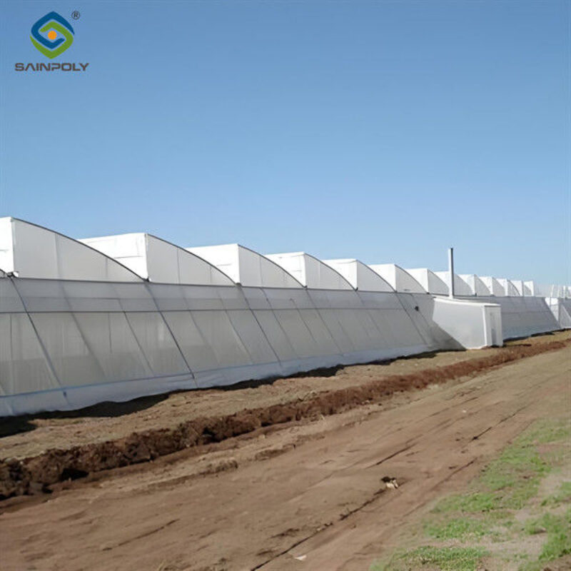 4m Height Steel Structure Greenhouse Gothic Type Easy Installation