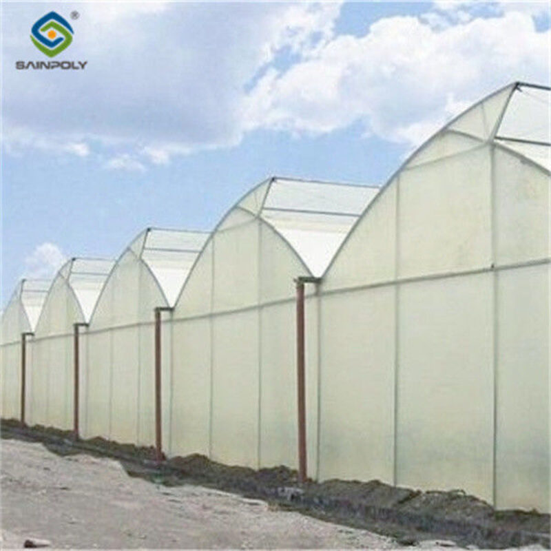 4m Height Steel Structure Greenhouse Gothic Type Easy Installation