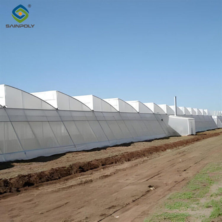 4m Height Steel Structure Greenhouse Gothic Type Easy Installation