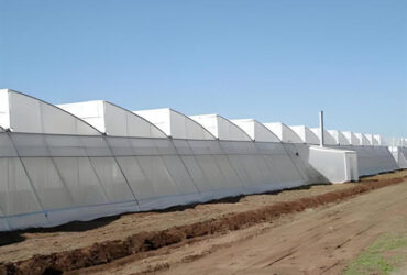4m Height Steel Structure Greenhouse Gothic Type Easy Installation