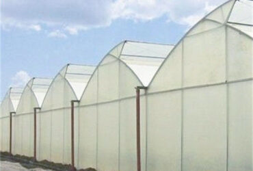 4m Height Steel Structure Greenhouse Gothic Type Easy Installation