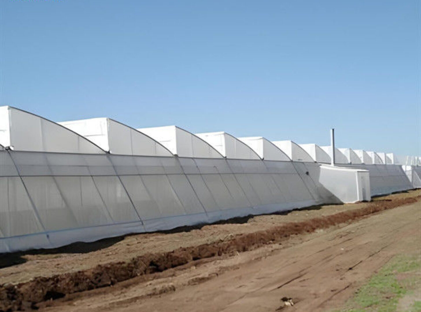 4m Height Steel Structure Greenhouse Gothic Type Easy Installation