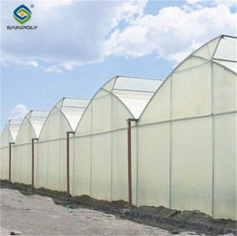 4m Height Steel Structure Greenhouse Gothic Type Easy Installation