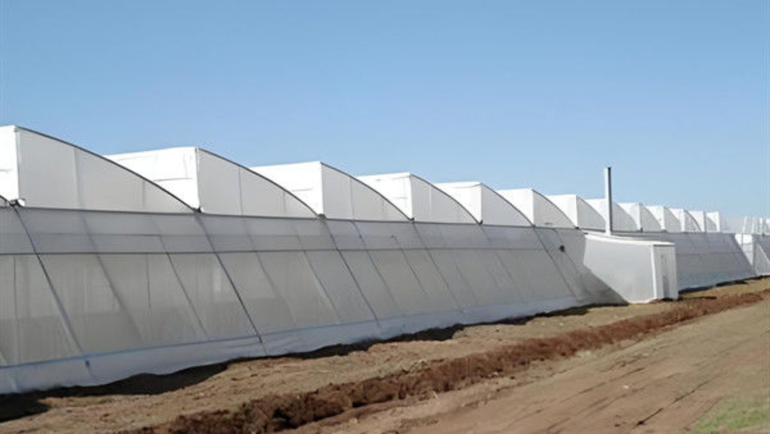 4m Height Steel Structure Greenhouse Gothic Type Easy Installation