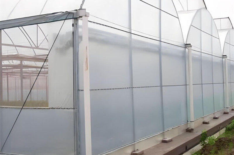 4m Height Steel Structure Greenhouse Gothic Type Easy Installation