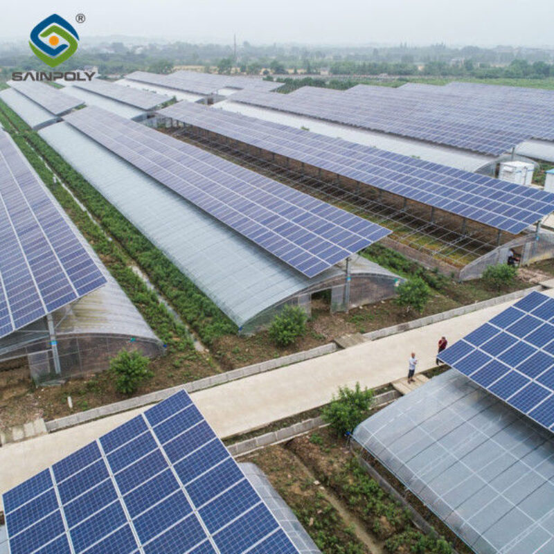 5.5-7.5m Height Photovoltaic Greenhouse With Solar Panel Roof