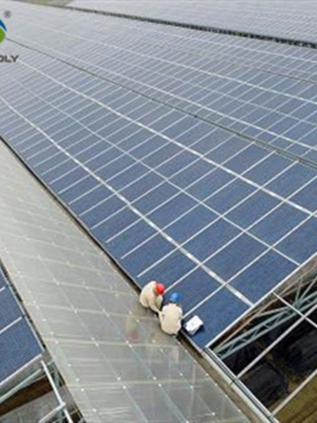 5.5-7.5m Height Photovoltaic Greenhouse With Solar Panel Roof