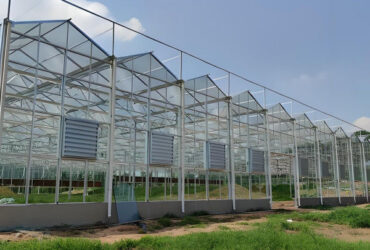 Adjustable Shading Net Venlo Greenhouse Multi Span Glass Green House