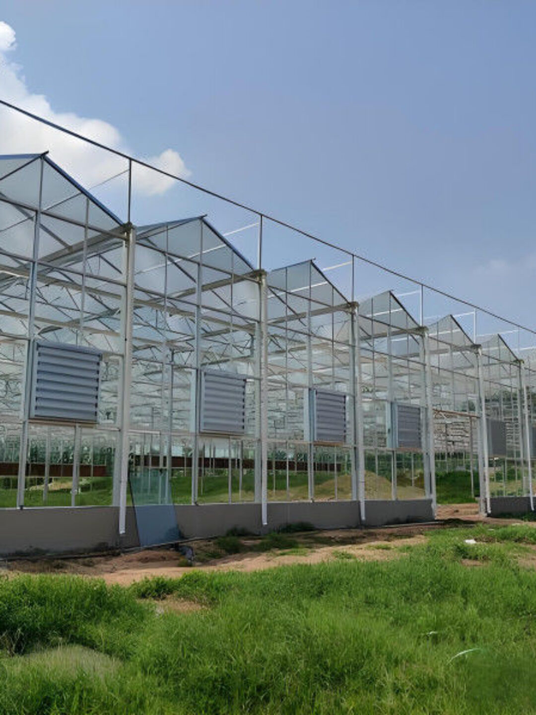 Adjustable Shading Net Venlo Greenhouse Multi Span Glass Green House
