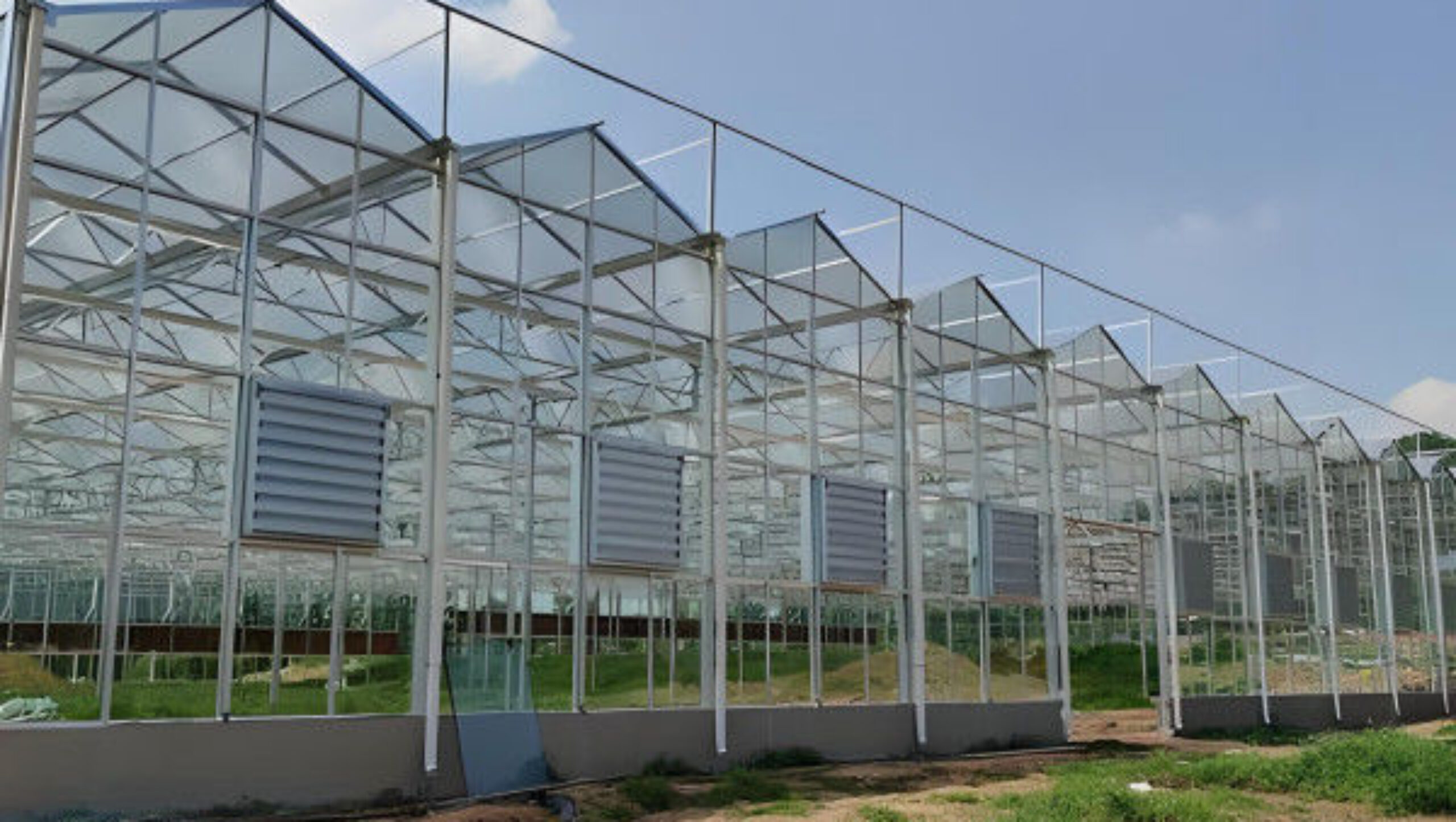 Adjustable Shading Net Venlo Greenhouse Multi Span Glass Green House