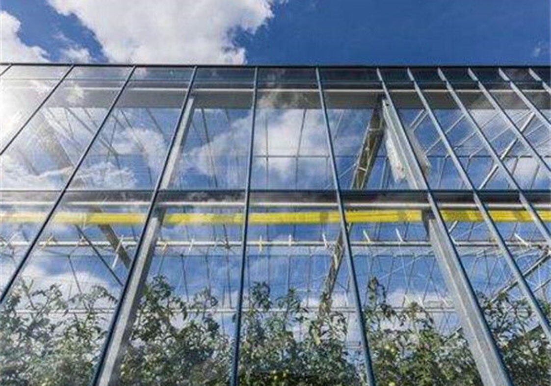 Adjustable Shading Net Venlo Greenhouse Multi Span Glass Green House