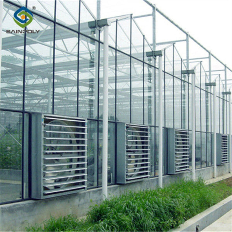 Agricultural Glass Greenhouse Continuous Skeleton PC Board Greenhouse For Vegetables