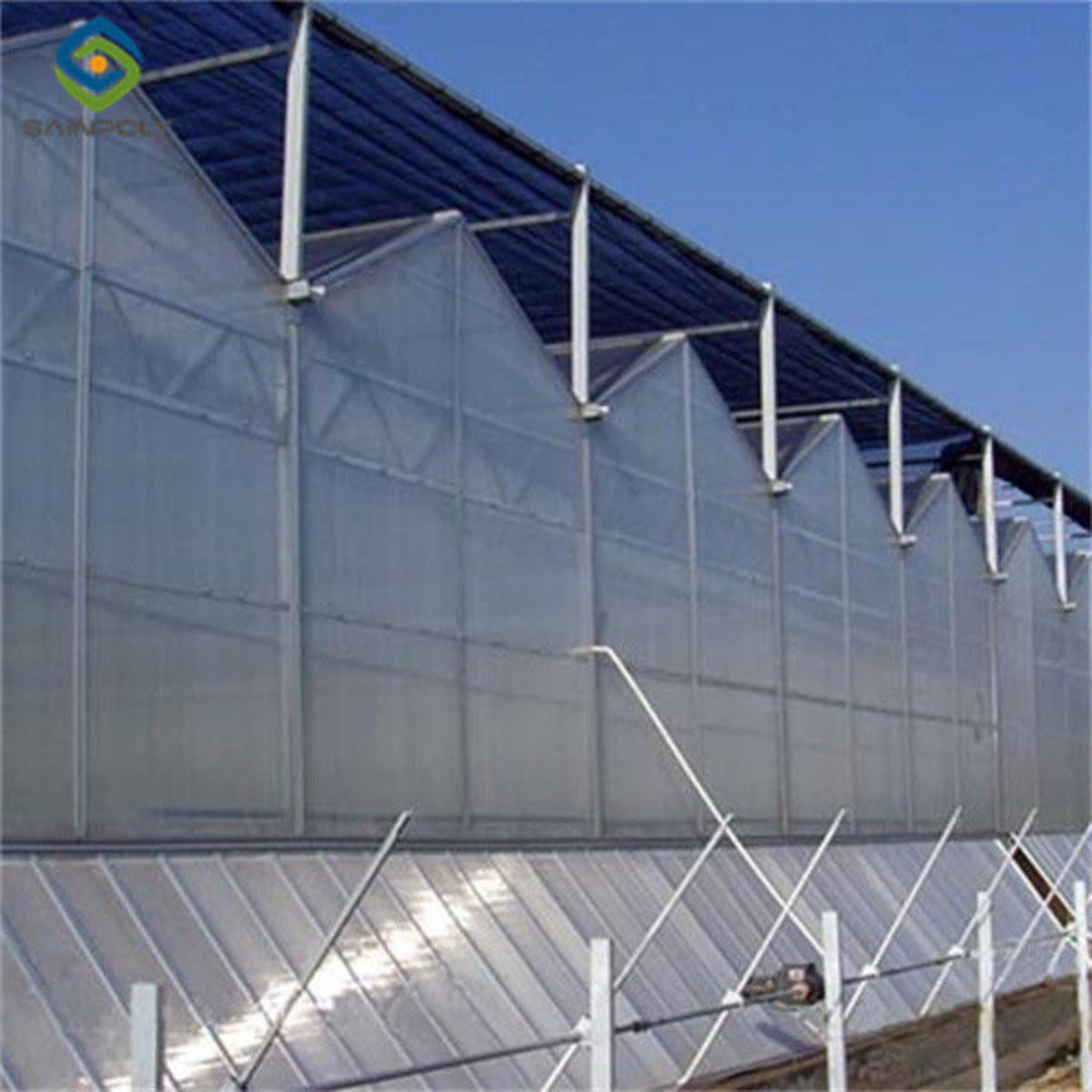 Agricultural Glass Greenhouse Continuous Skeleton PC Board Greenhouse For Vegetables