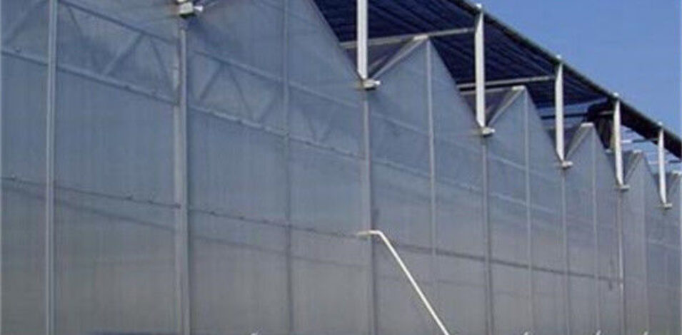 Agricultural Glass Greenhouse Continuous Skeleton PC Board Greenhouse For Vegetables