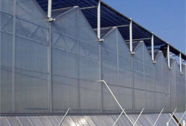 Agricultural Glass Greenhouse Continuous Skeleton PC Board Greenhouse For Vegetables