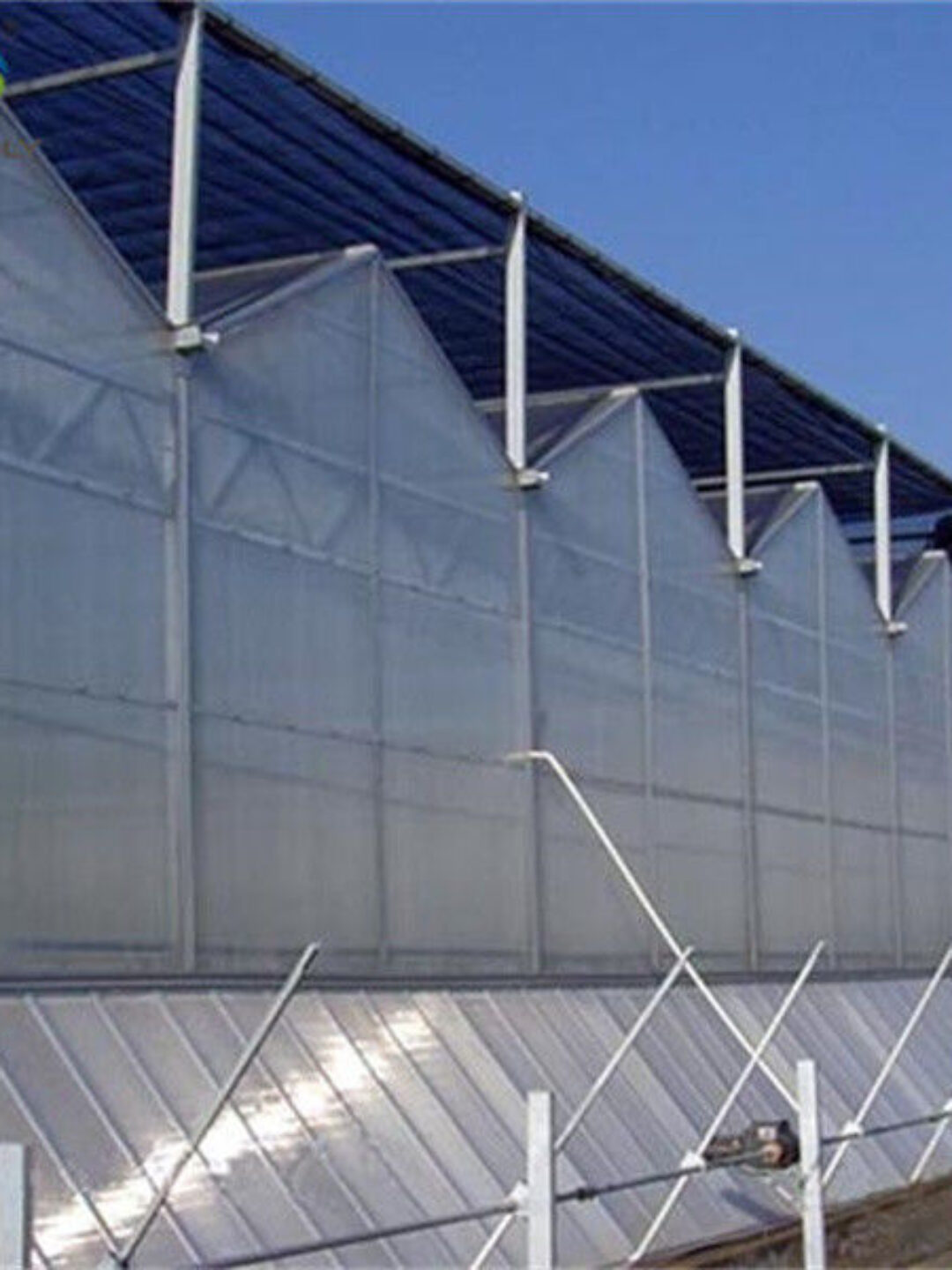 Agricultural Glass Greenhouse Continuous Skeleton PC Board Greenhouse For Vegetables
