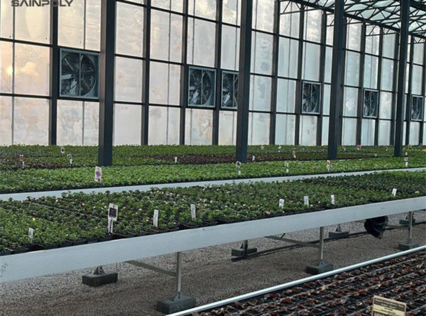 Agricultural Glass Greenhouse Continuous Skeleton PC Board Greenhouse For Vegetables