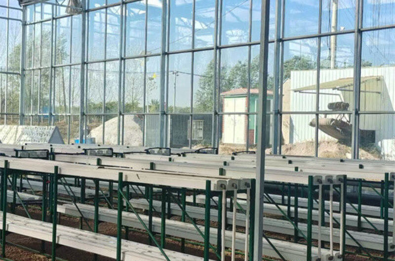 Agricultural Glass Greenhouse Continuous Skeleton PC Board Greenhouse For Vegetables