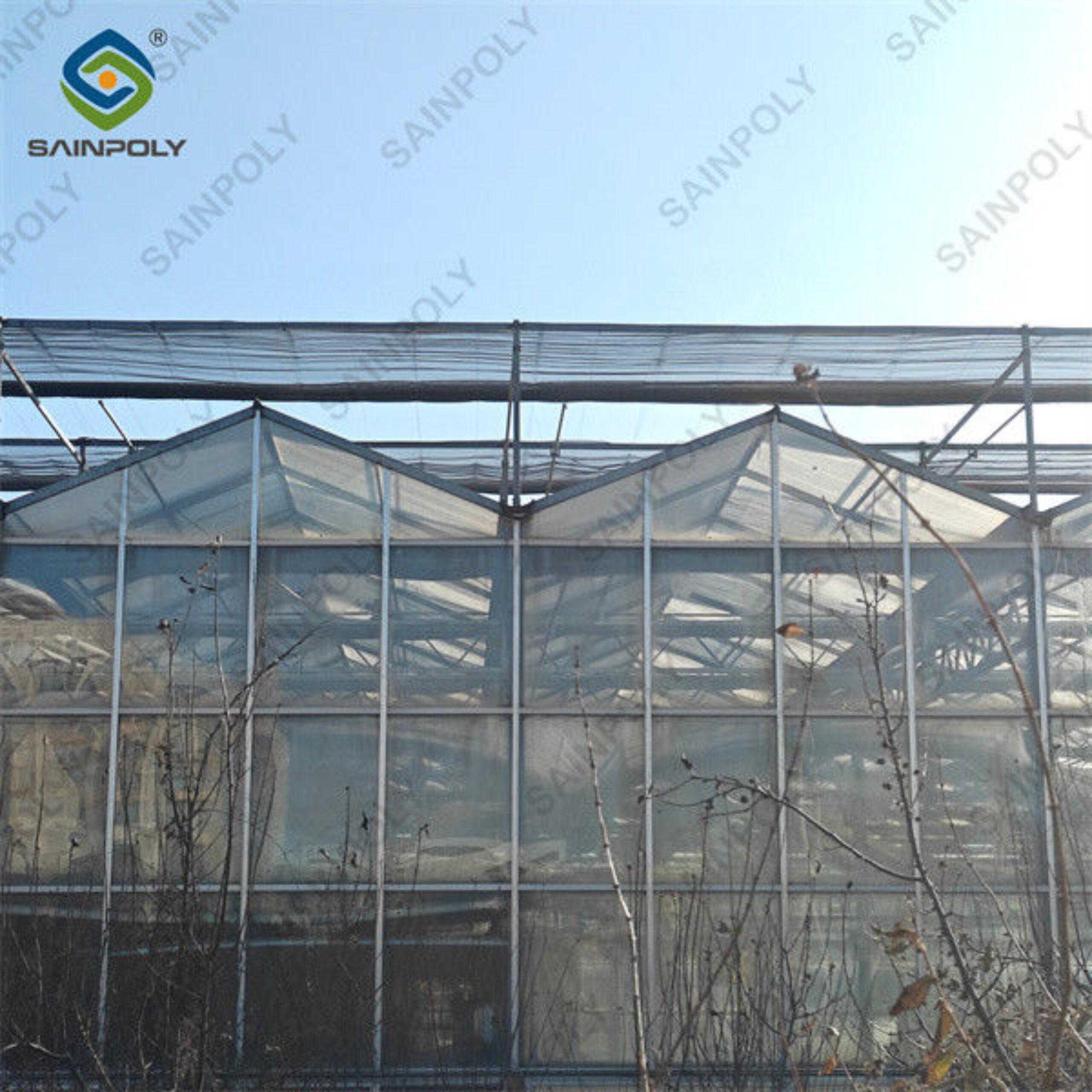 Agricultural Glass Venlo Type Greenhouse Wind Resistance Professional Installation