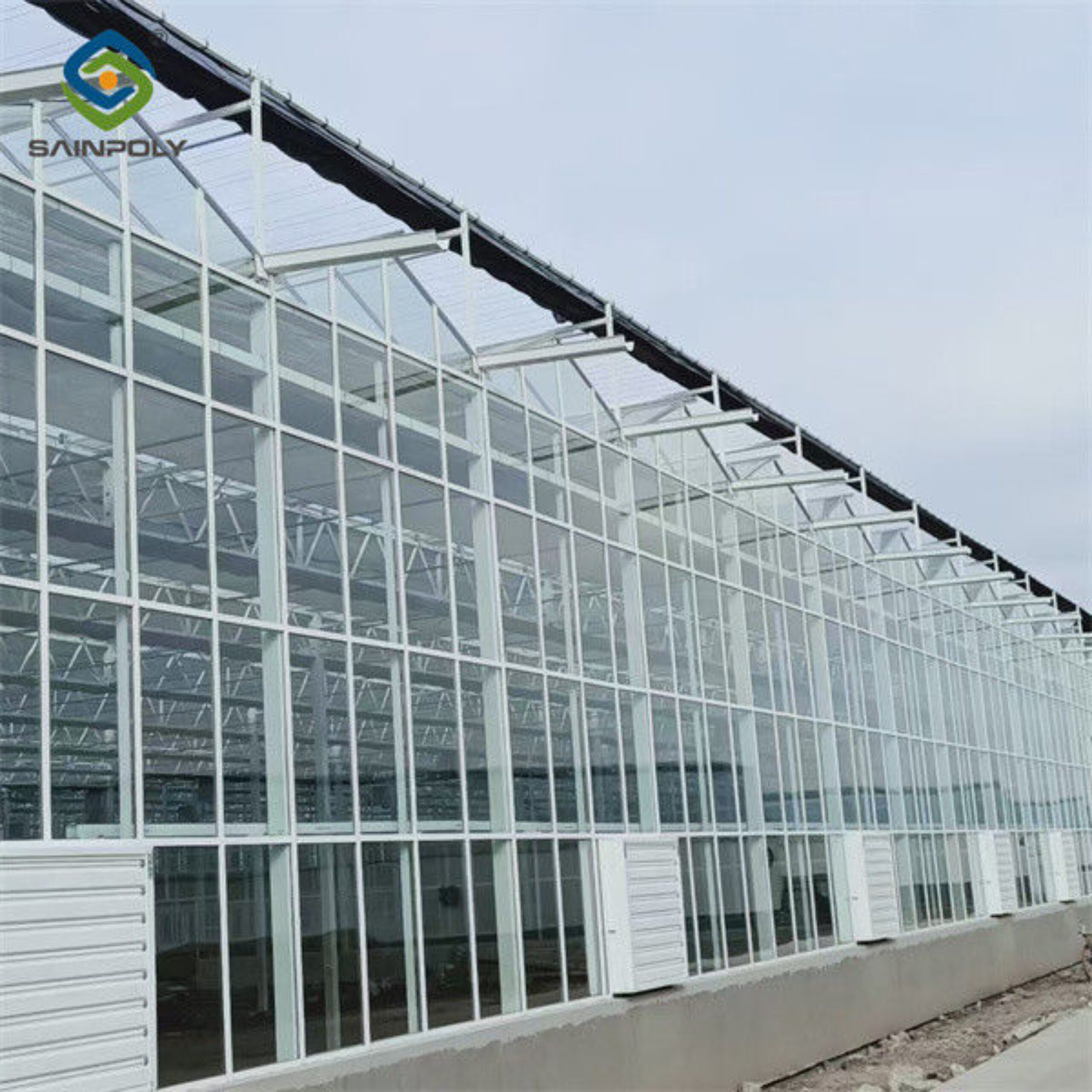 Agricultural Glass Venlo Type Greenhouse Wind Resistance Professional Installation