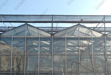 Agricultural Glass Venlo Type Greenhouse Wind Resistance Professional Installation