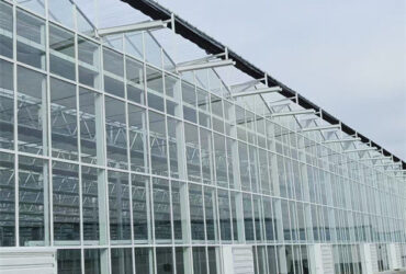 Agricultural Glass Venlo Type Greenhouse Wind Resistance Professional Installation