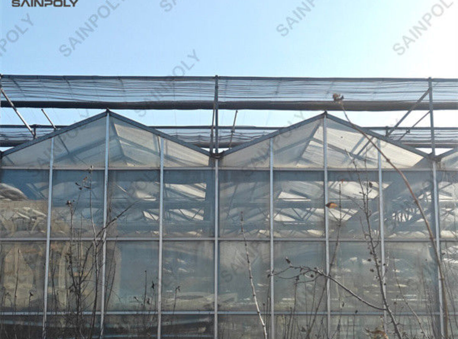 Agricultural Glass Venlo Type Greenhouse Wind Resistance Professional Installation