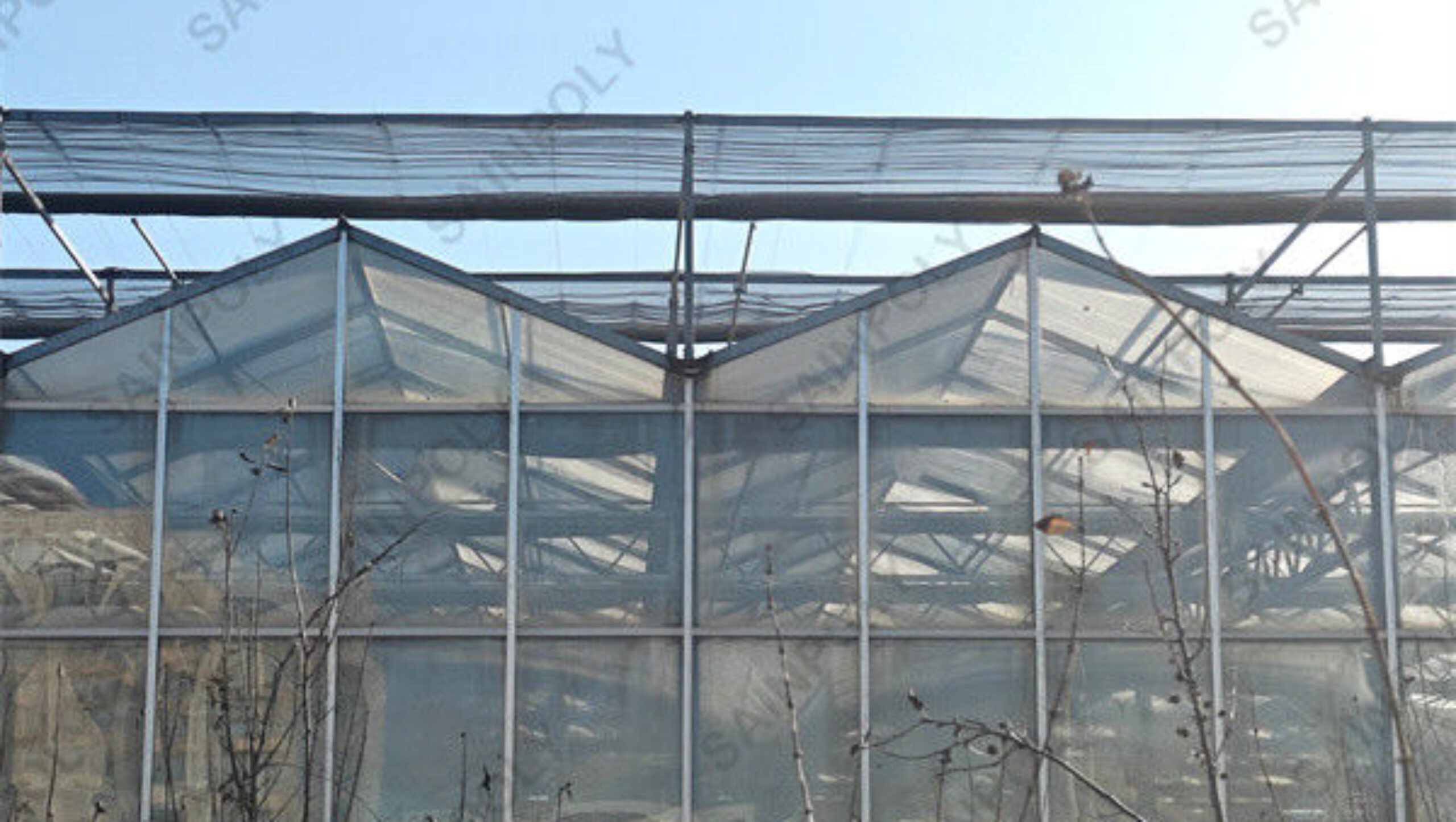 Agricultural Glass Venlo Type Greenhouse Wind Resistance Professional Installation