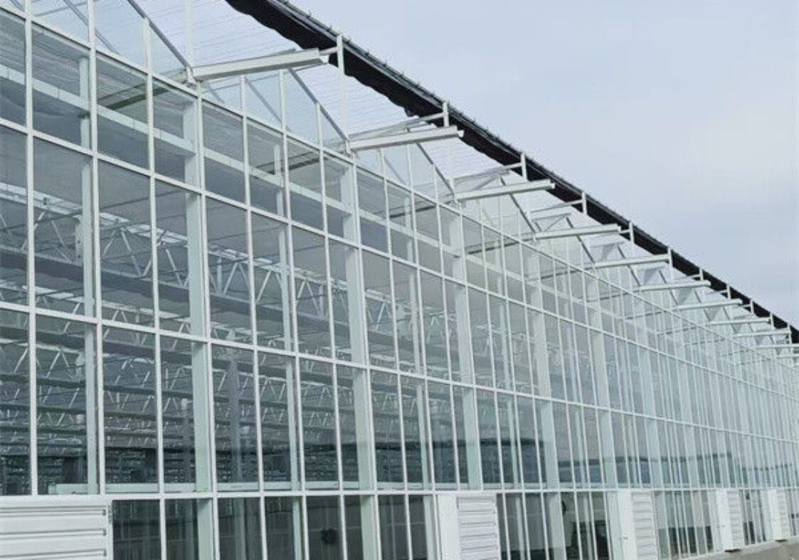 Agricultural Glass Venlo Type Greenhouse Wind Resistance Professional Installation