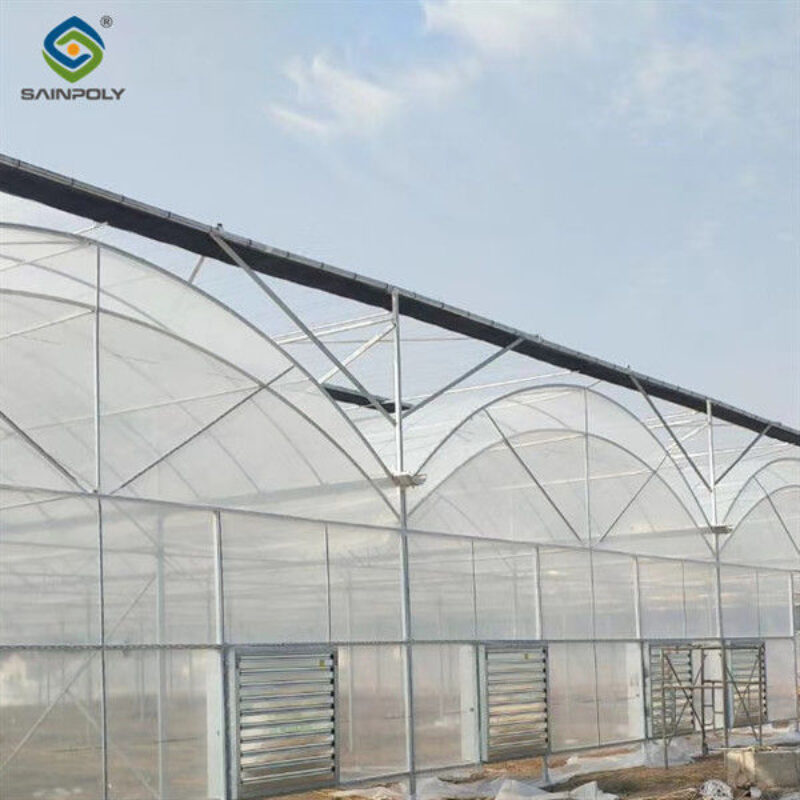 Agricultural Multi Span Greenhouse Strong Structure For Tomato Planting
