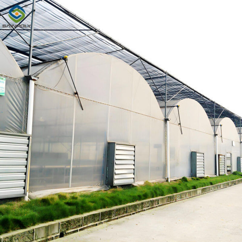 Agricultural Multi Span Greenhouse Strong Structure For Tomato Planting