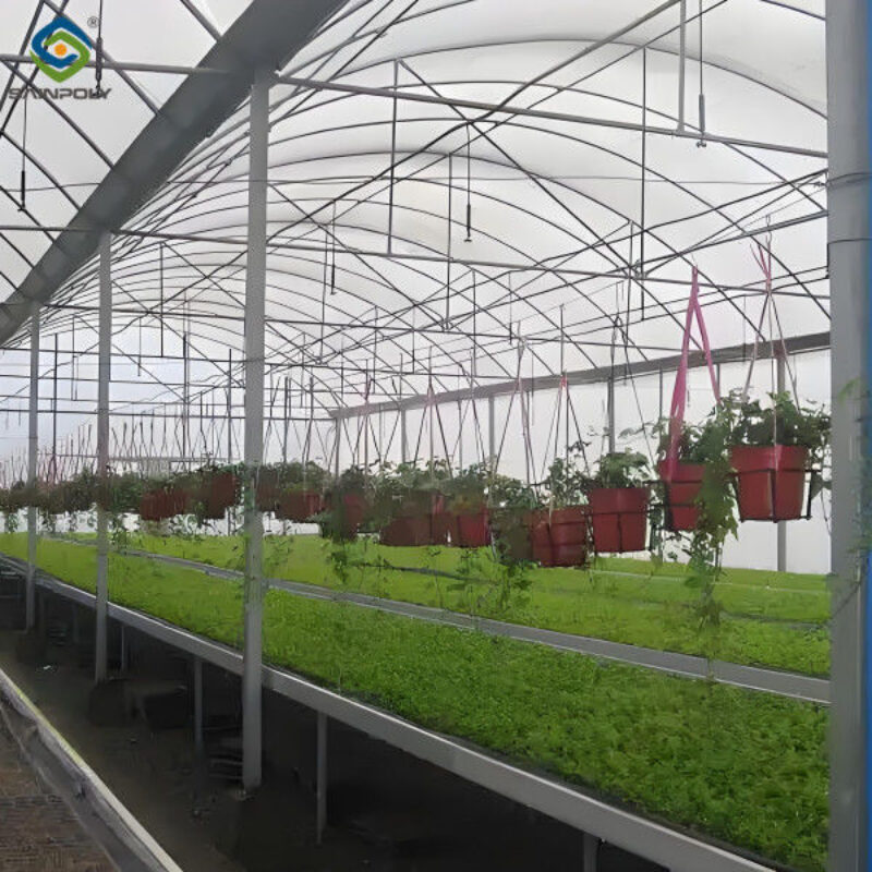 Agricultural Multi Span Greenhouse Strong Structure For Tomato Planting