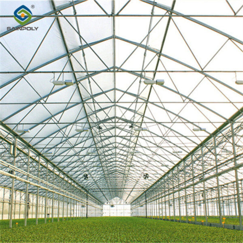 Agricultural Multi Span Greenhouse Strong Structure For Tomato Planting