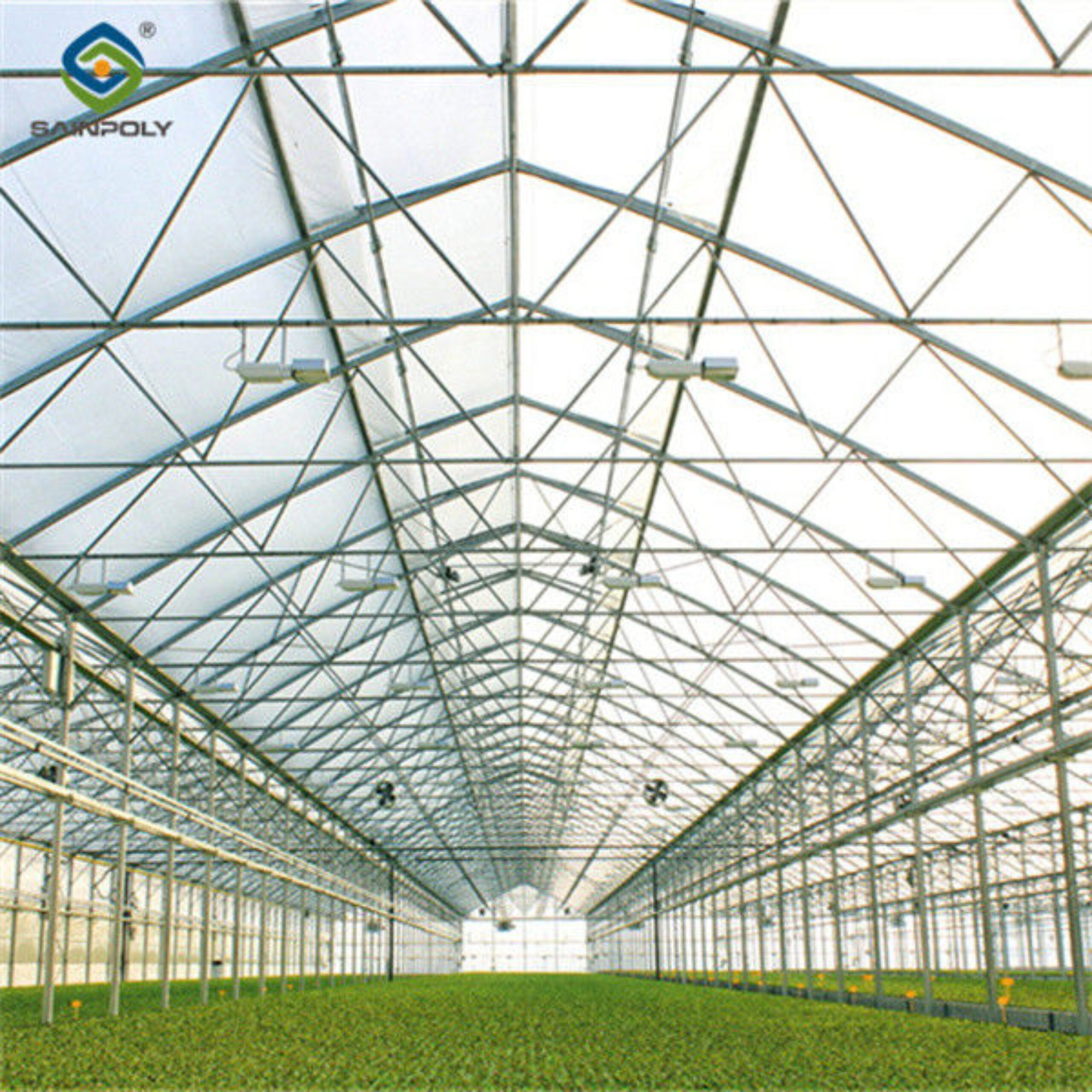 Agricultural Multi Span Greenhouse Strong Structure For Tomato Planting