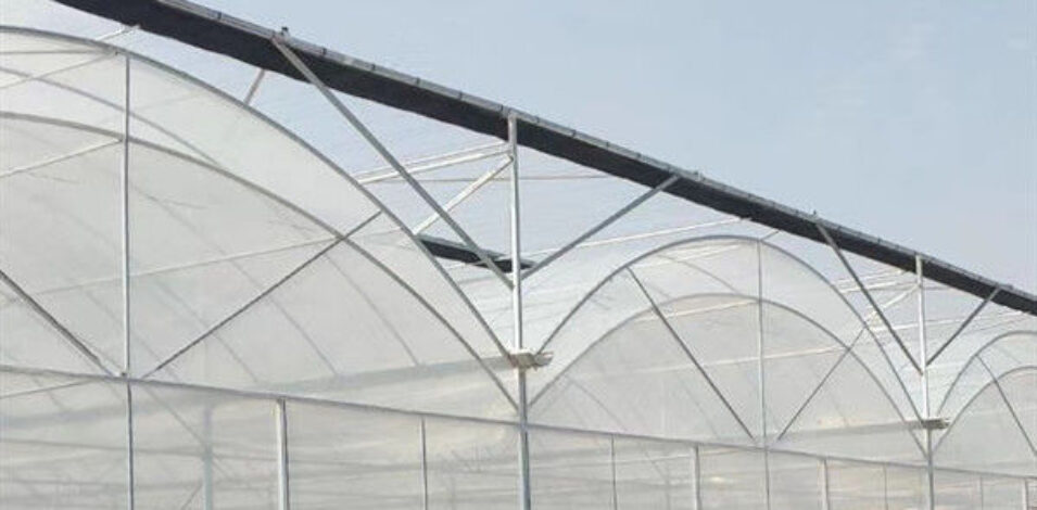 Agricultural Multi Span Greenhouse Strong Structure For Tomato Planting