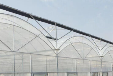 Agricultural Multi Span Greenhouse Strong Structure For Tomato Planting