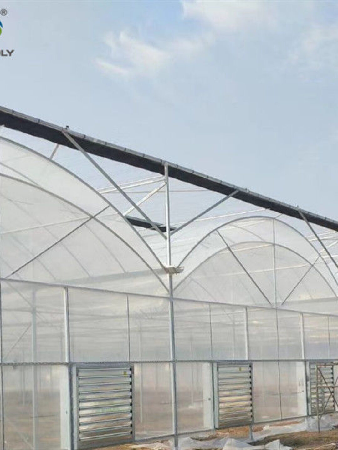 Agricultural Multi Span Greenhouse Strong Structure For Tomato Planting