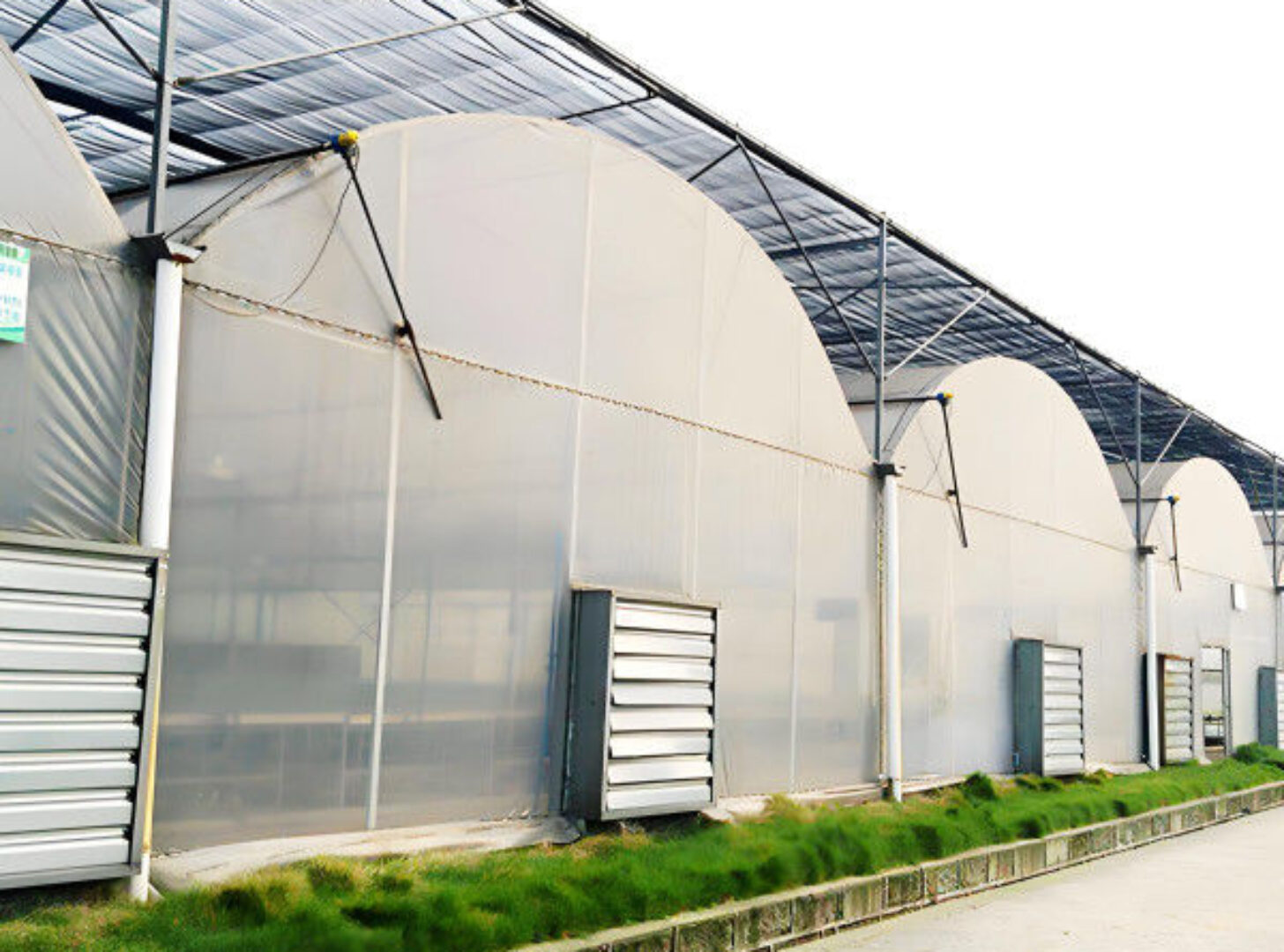 Agricultural Multi Span Greenhouse Strong Structure For Tomato Planting