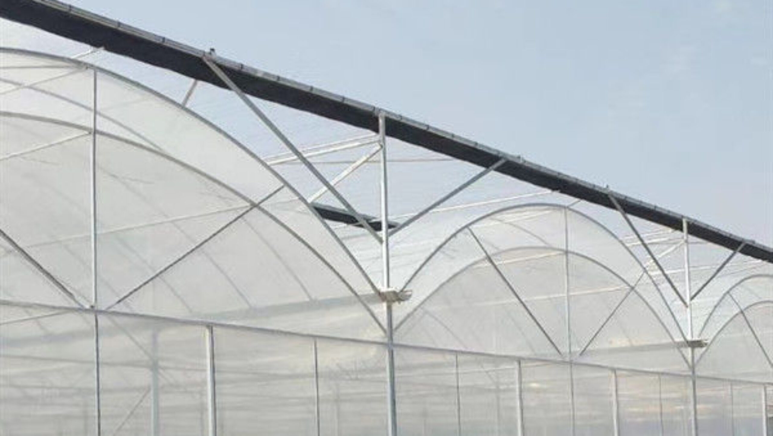 Agricultural Multi Span Greenhouse Strong Structure For Tomato Planting