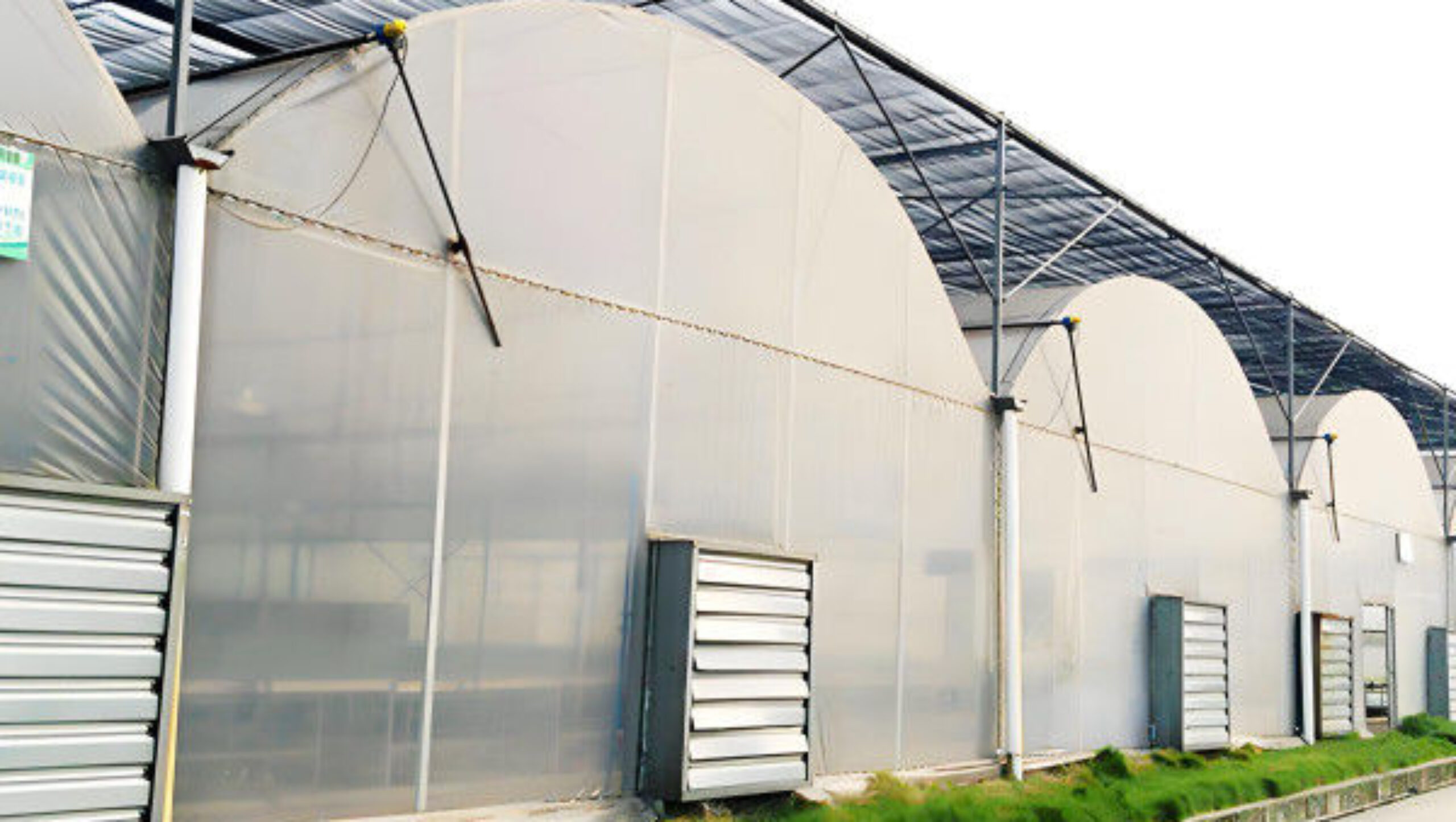 Agricultural Multi Span Greenhouse Strong Structure For Tomato Planting
