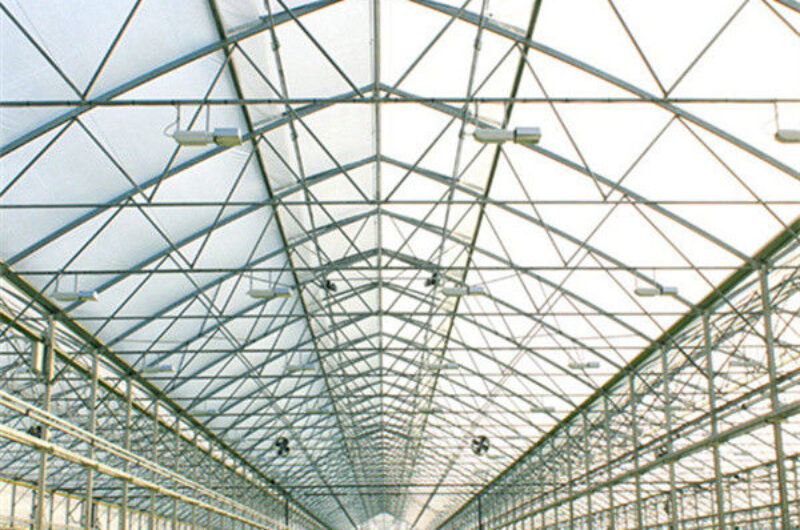 Agricultural Multi Span Greenhouse Strong Structure For Tomato Planting