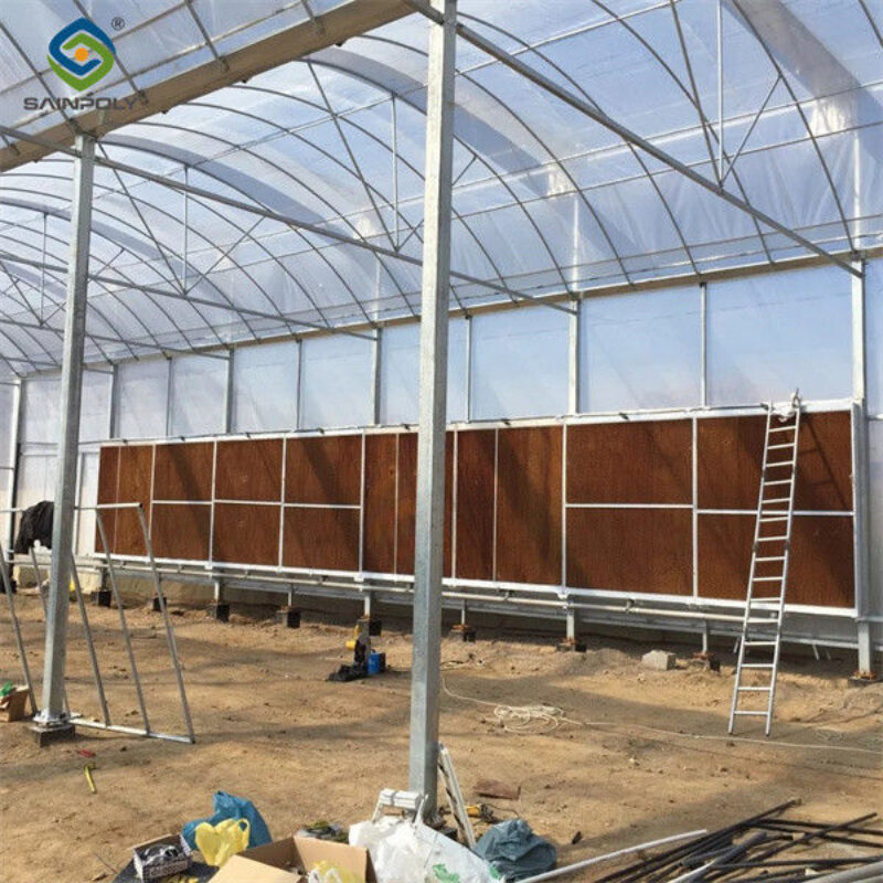 Agricultural Multi Span Poly Film Greenhouse Stable Hydroponic Growing Systems