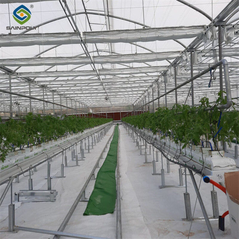 Agricultural Multi Span Poly Film Greenhouse Stable Hydroponic Growing Systems