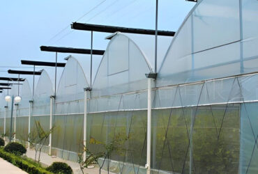 Agricultural Multi Span Poly Film Greenhouse Stable Hydroponic Growing Systems