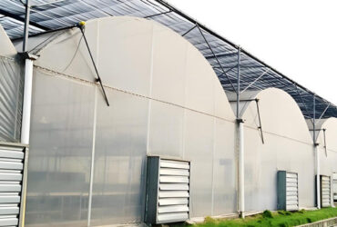 Agricultural Multi Span Poly Film Greenhouse Stable Hydroponic Growing Systems